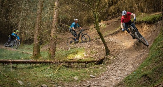 Glentress cheap trail centre